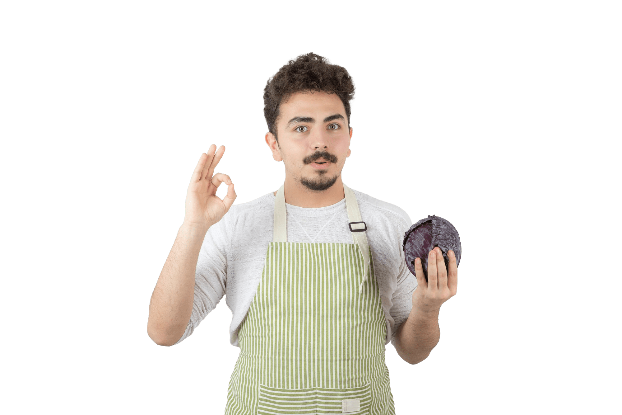 haccp consulting service, forsys, forsys consultant, haccp