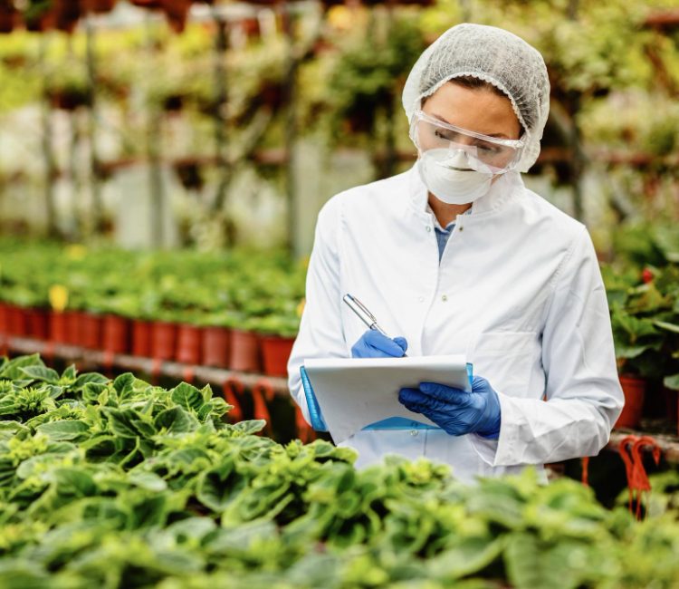 food safety management